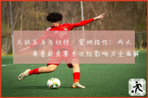 文班亚马与切特·霍姆格伦：两大独角兽新秀赛季攻防影响力全面解析