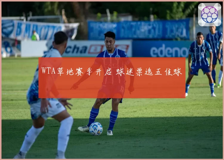 WTA草地赛季开启 球迷票选五佳球