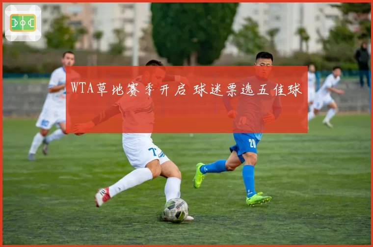 WTA草地赛季开启 球迷票选五佳球