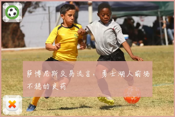 萨博尼斯交易流言,勇士湖人前场不稳的良药